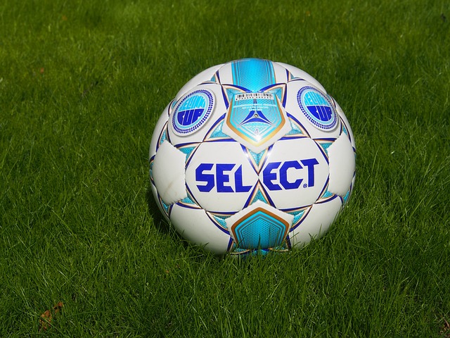 有一天一张 有一天一张