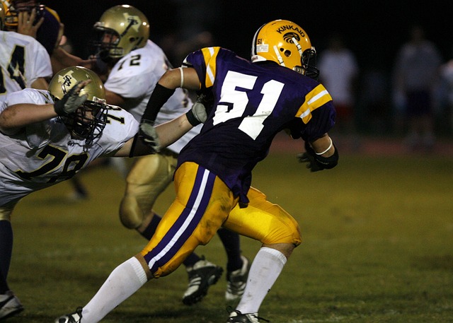 样化课程 样化课程