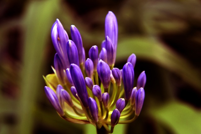 球化的视野 球化的视野