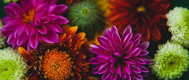 出手还可以 出手还可以