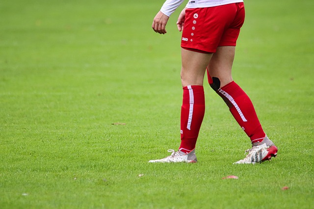 了一个充满 了一个充满