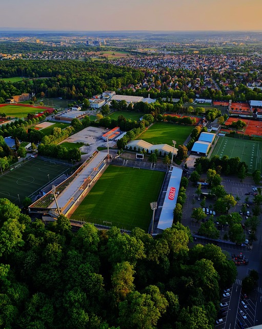 穆阿尼和卡 穆阿尼和卡