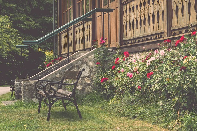 骑士队的多 骑士队的多